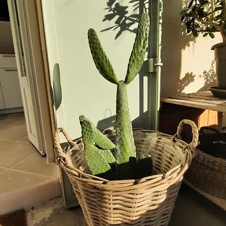 Privatunterkunft Les Bois Flottes . De La Verne *