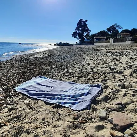 Les Bois Flottes . De La Verne *