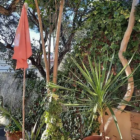 Les Bois Flottes . De La Verne * La Seyne-sur-Mer